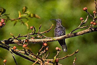 《光环》电视剧主演分享感悟：想演好士官长真不容易